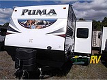 15 Palomino Puma