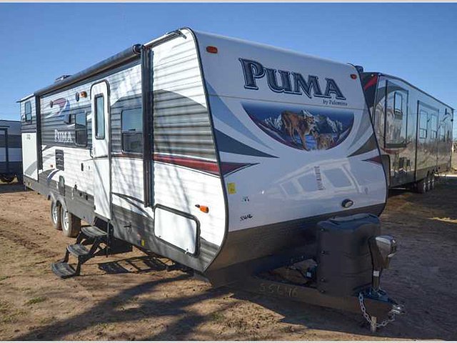 15 Palomino Puma