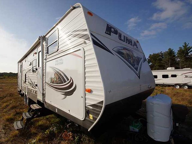 15 Palomino Puma