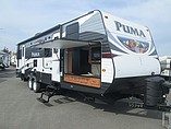 15 Palomino Puma
