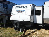 15 Palomino Puma