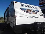 15 Palomino Puma