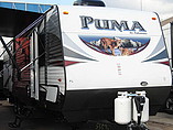 15 Palomino Puma