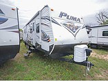 15 Palomino Puma