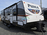 15 Palomino Puma