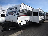 16 Palomino Puma