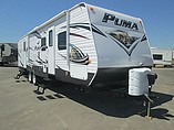 15 Palomino Puma