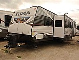 15 Palomino Puma