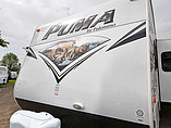 15 Palomino Puma