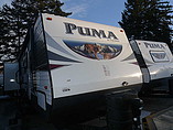 15 Palomino Puma