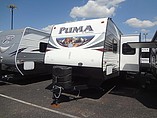 16 Palomino Puma