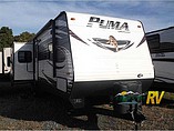 15 Palomino Puma