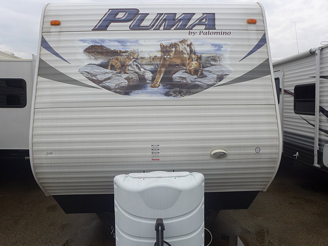 13 Palomino Puma