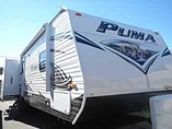 15 Palomino Puma