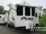 14 Palomino Puma
