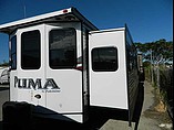 15 Palomino Puma