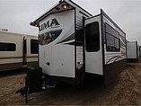 15 Palomino Puma