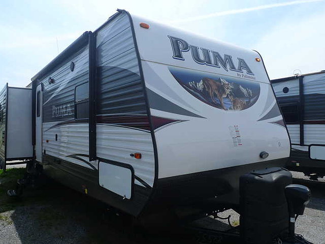 15 Palomino Puma