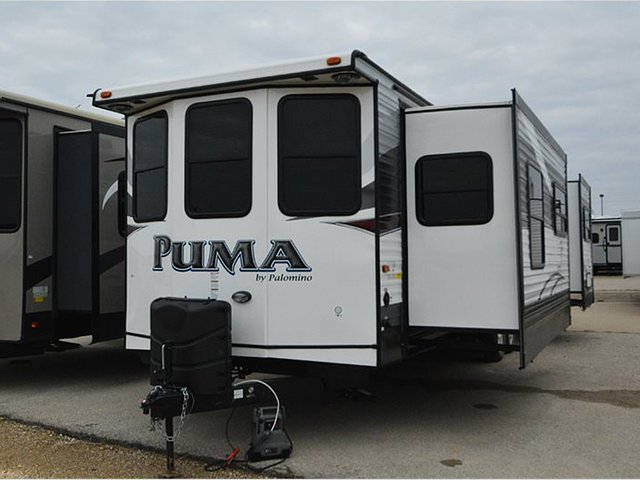 15 Palomino Puma