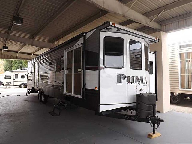 15 Palomino Puma