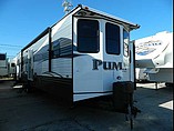 15 Palomino Puma
