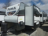 15 Palomino Puma