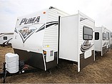 15 Palomino Puma
