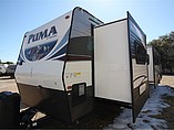 15 Palomino Puma