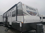 15 Palomino Puma