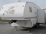 07 Palomino Puma
