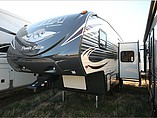 15 Palomino Puma