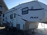 09 Palomino Puma