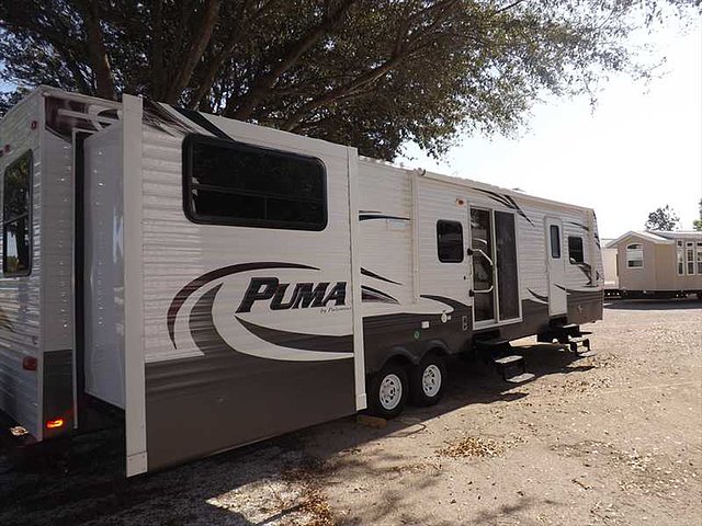 15 Palomino Puma