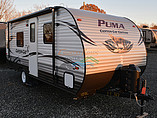 16 Palomino Puma Canyon Cat