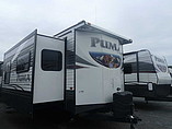 15 Palomino Puma