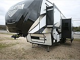 15 Palomino