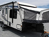 15 Palomino SolAire