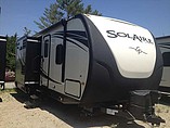 14 Palomino SolAire