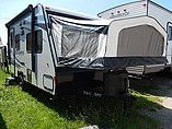 15 Palomino SolAire