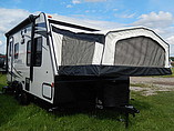 15 Palomino SolAire