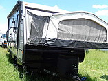 15 Palomino SolAire
