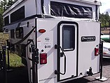 15 Palomino