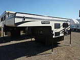 15 Palomino