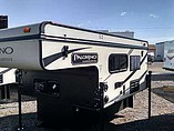 14 Palomino