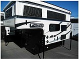 15 Palomino