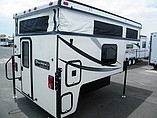 15 Palomino