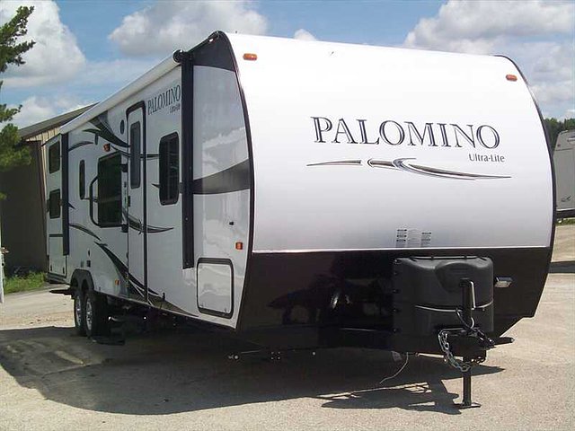 13 Palomino