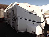 06 Palomino Thoroughbred