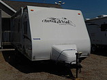09 Palomino Thoroughbred