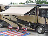 05 Safari Cheetah